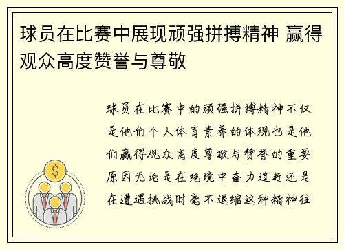 球员在比赛中展现顽强拼搏精神 赢得观众高度赞誉与尊敬